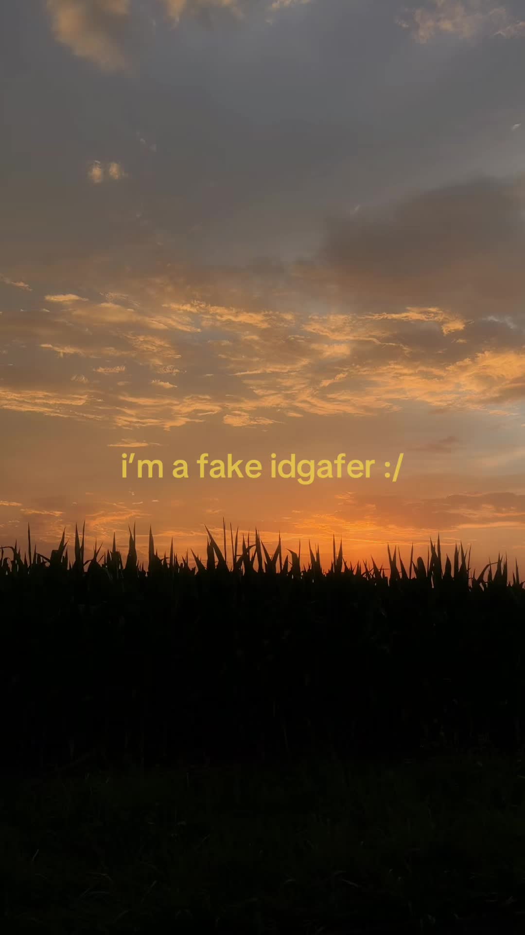@𓍼