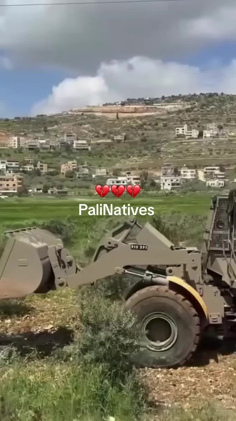 @palinatives