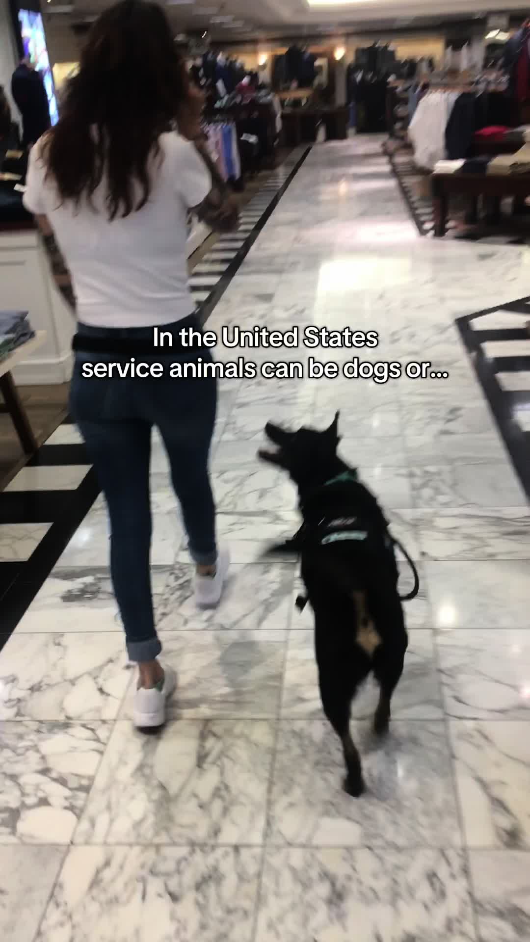 @lex 🐺⛓️