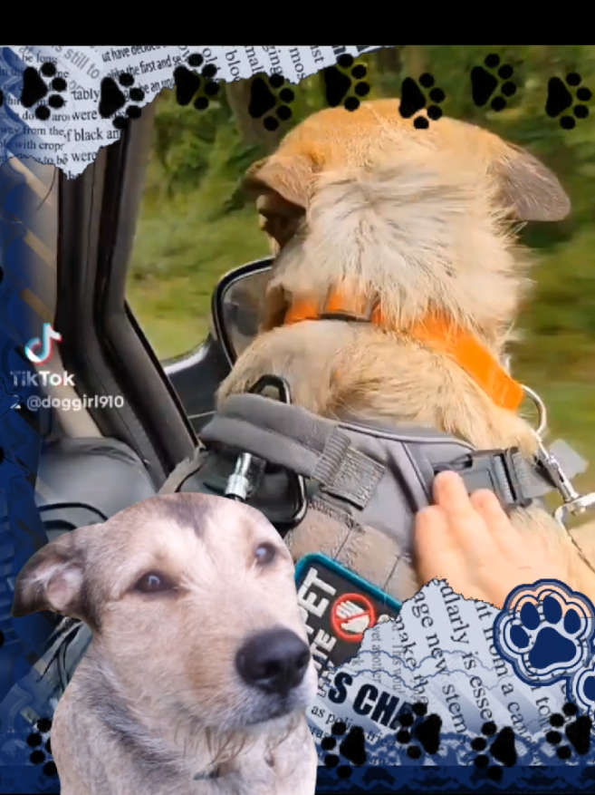 @💙🐶🖌️Joanna🖌️🐶💙