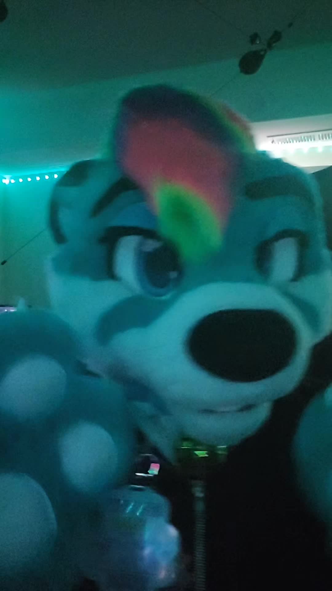 @Floofymass 🔜 AC 2026