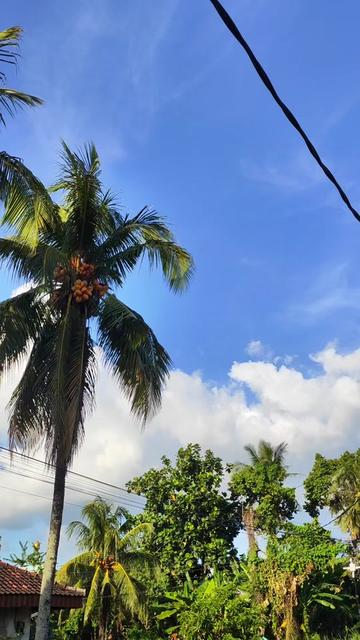 @Aesthetic&reg;
