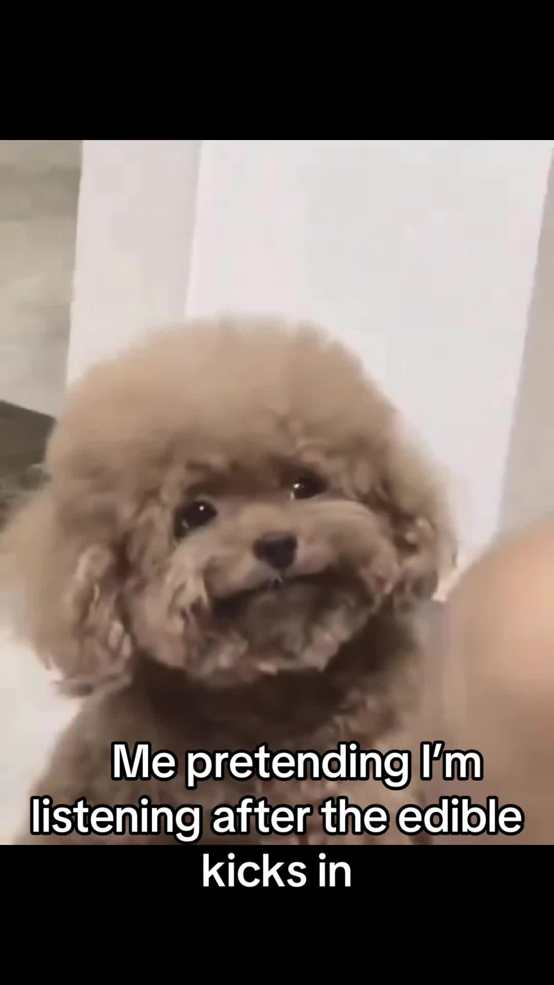 @Sunny