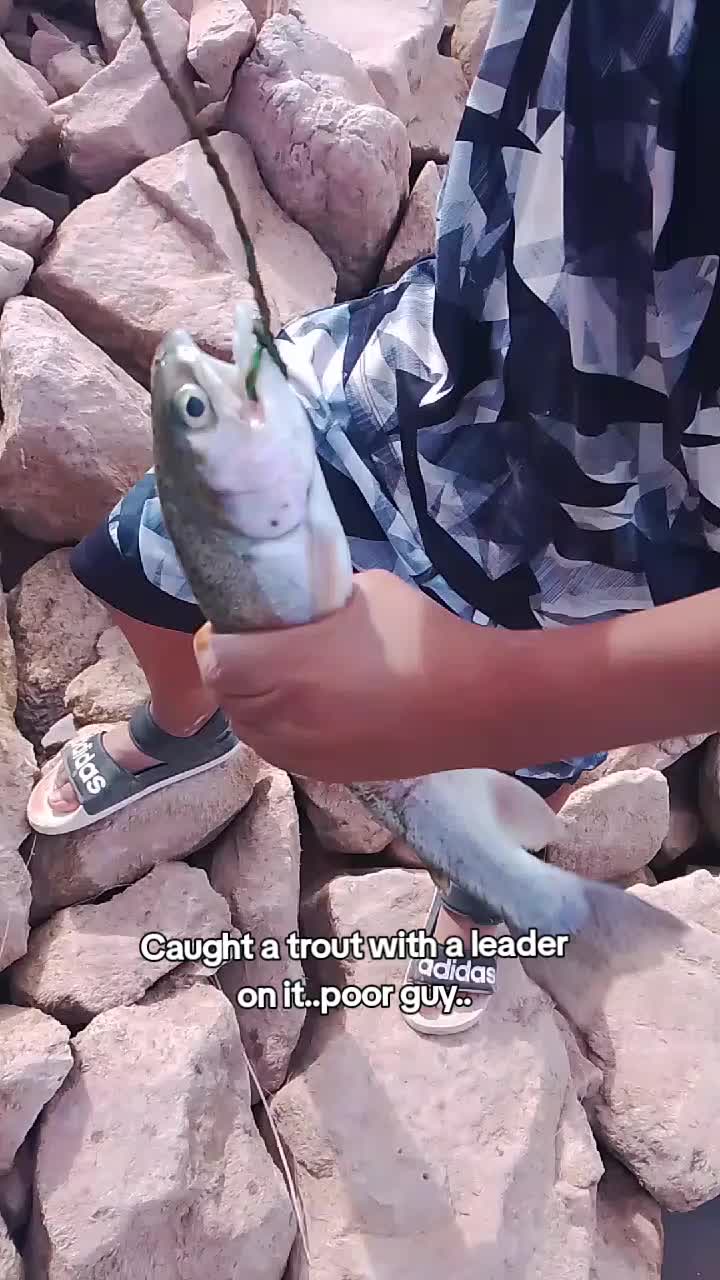 @EL Pak Lokote