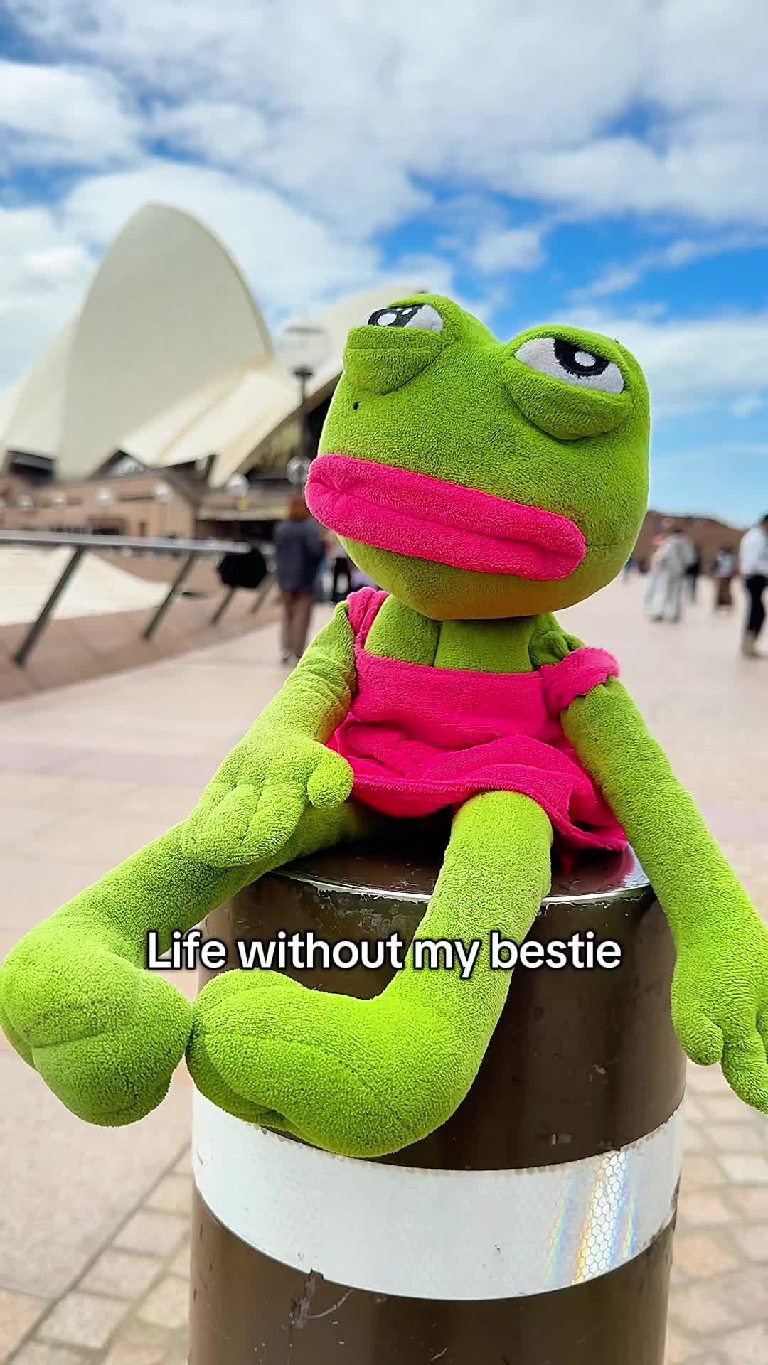 @AdoptAPepe