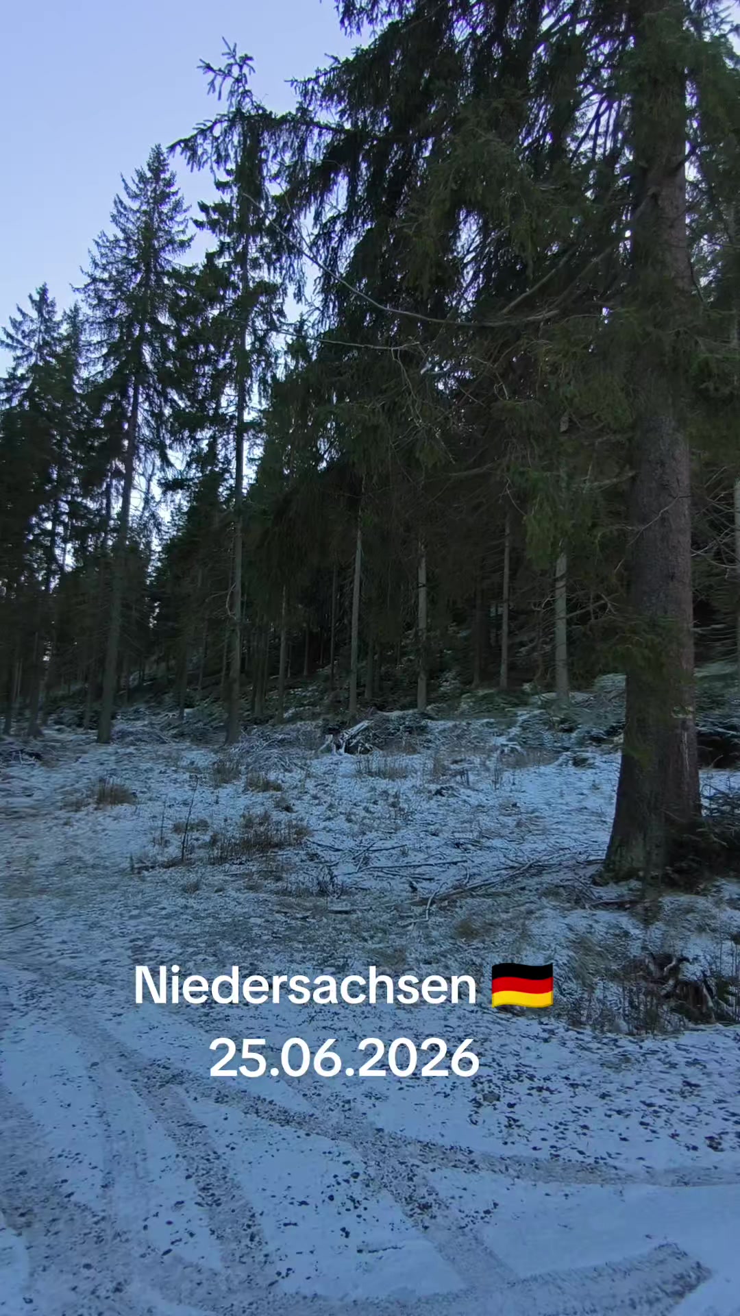 @🇩🇪 Leben in Deutschland 🇩🇪