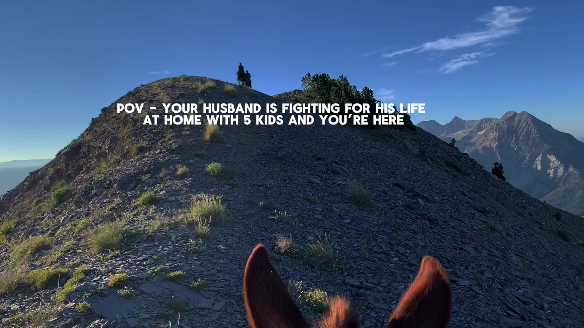 @wild.horsewoman