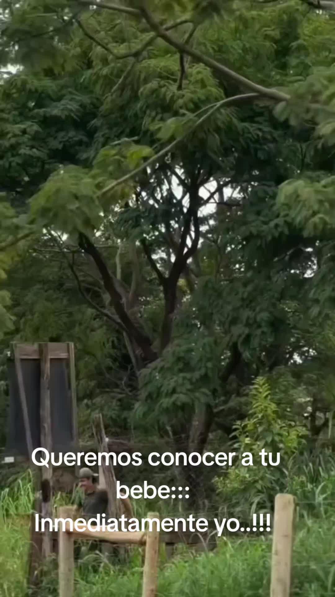 @Olga Vasquez