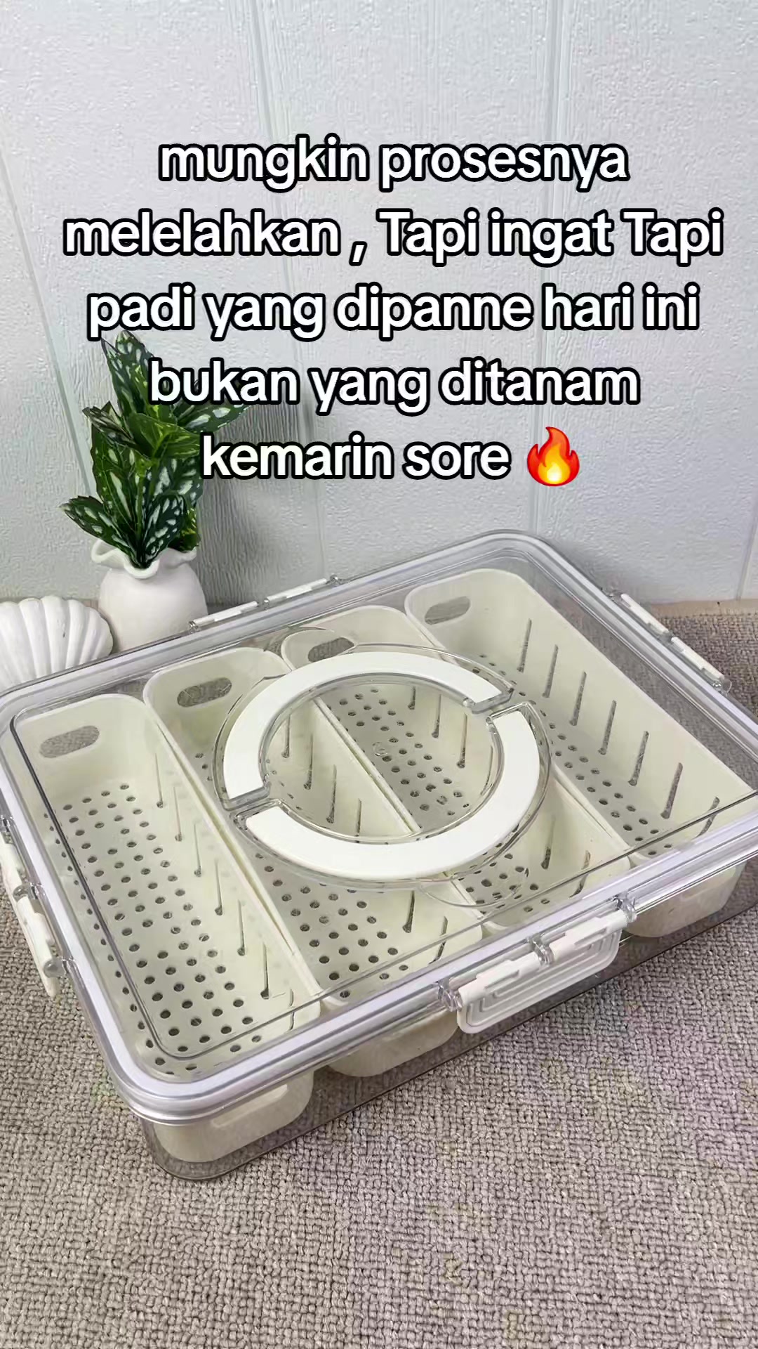 @Ahel