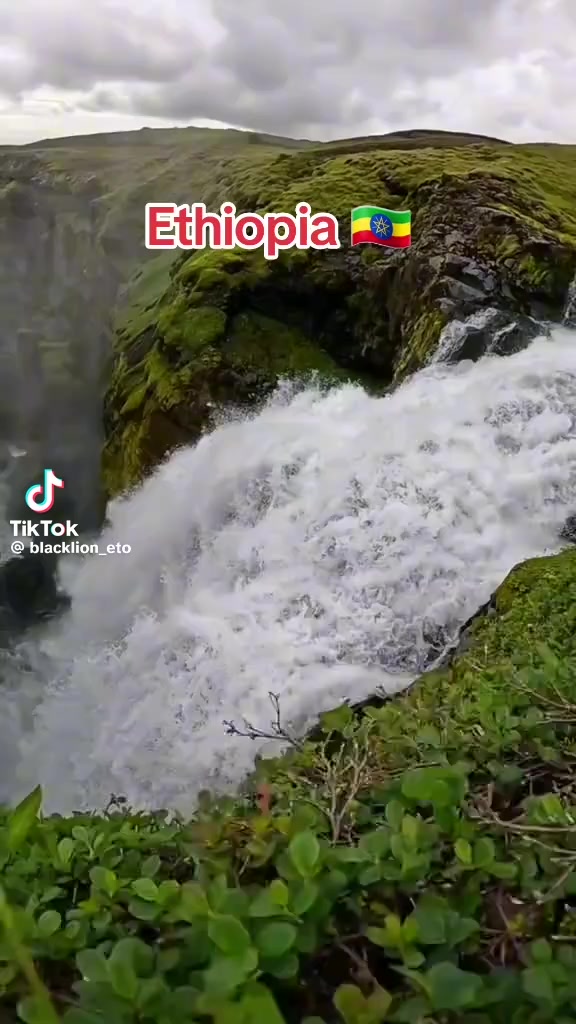 @Zarah Ali Jimmaa🇪🇹