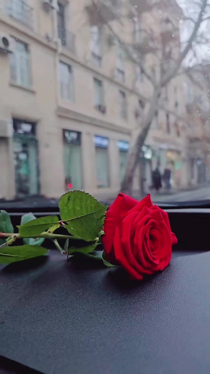 @⚜️𝑀𝑎𝒟𝓊 𝑁𝑖𝐿𝑎𝒩 🇰🇷✨