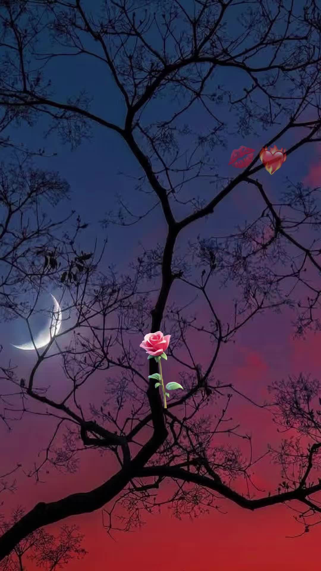 @๐ฆ