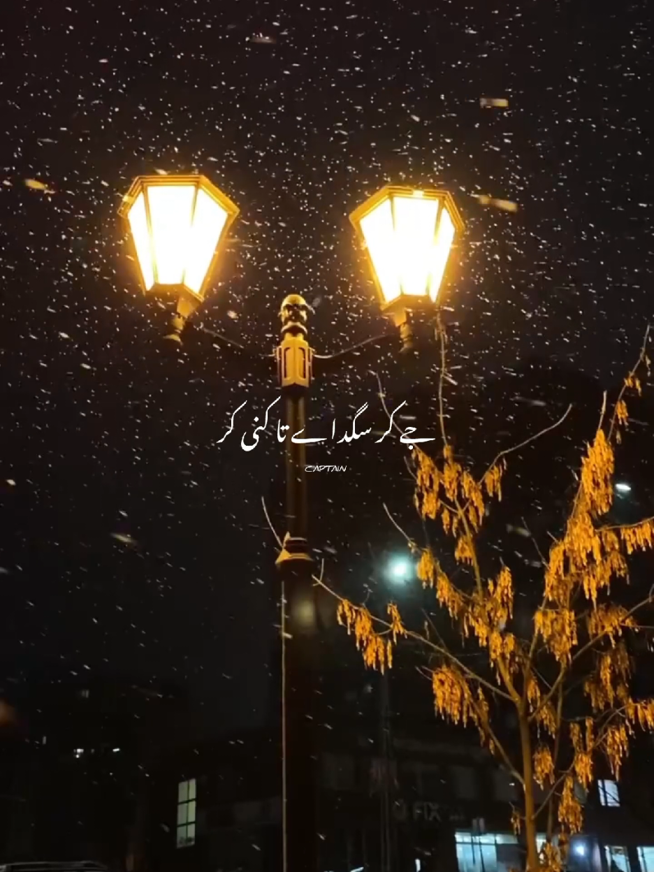 @𝘾𝘼𝙋𝙏𝘼𝙄𝙉 🚩