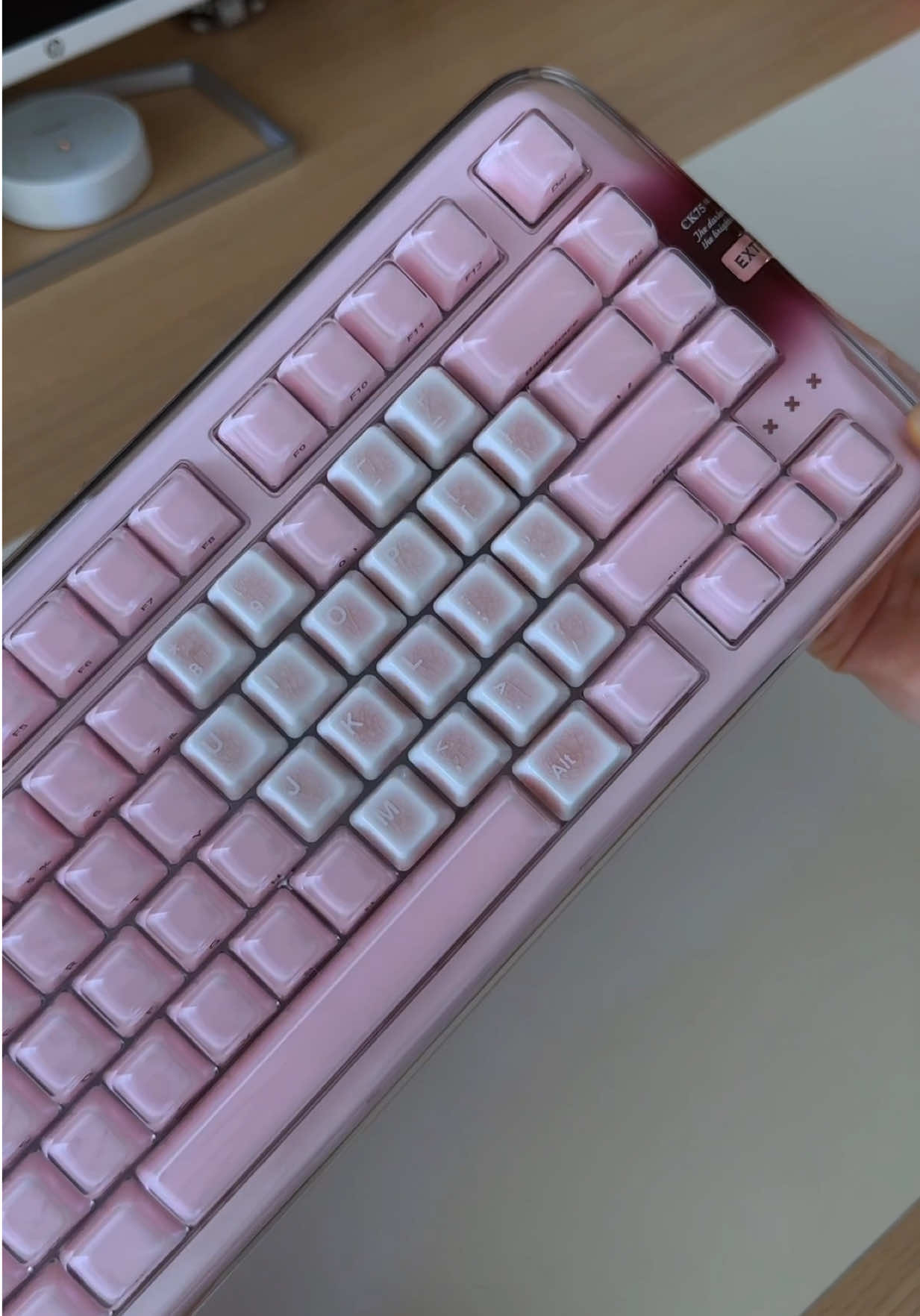 @hi.kimchiii