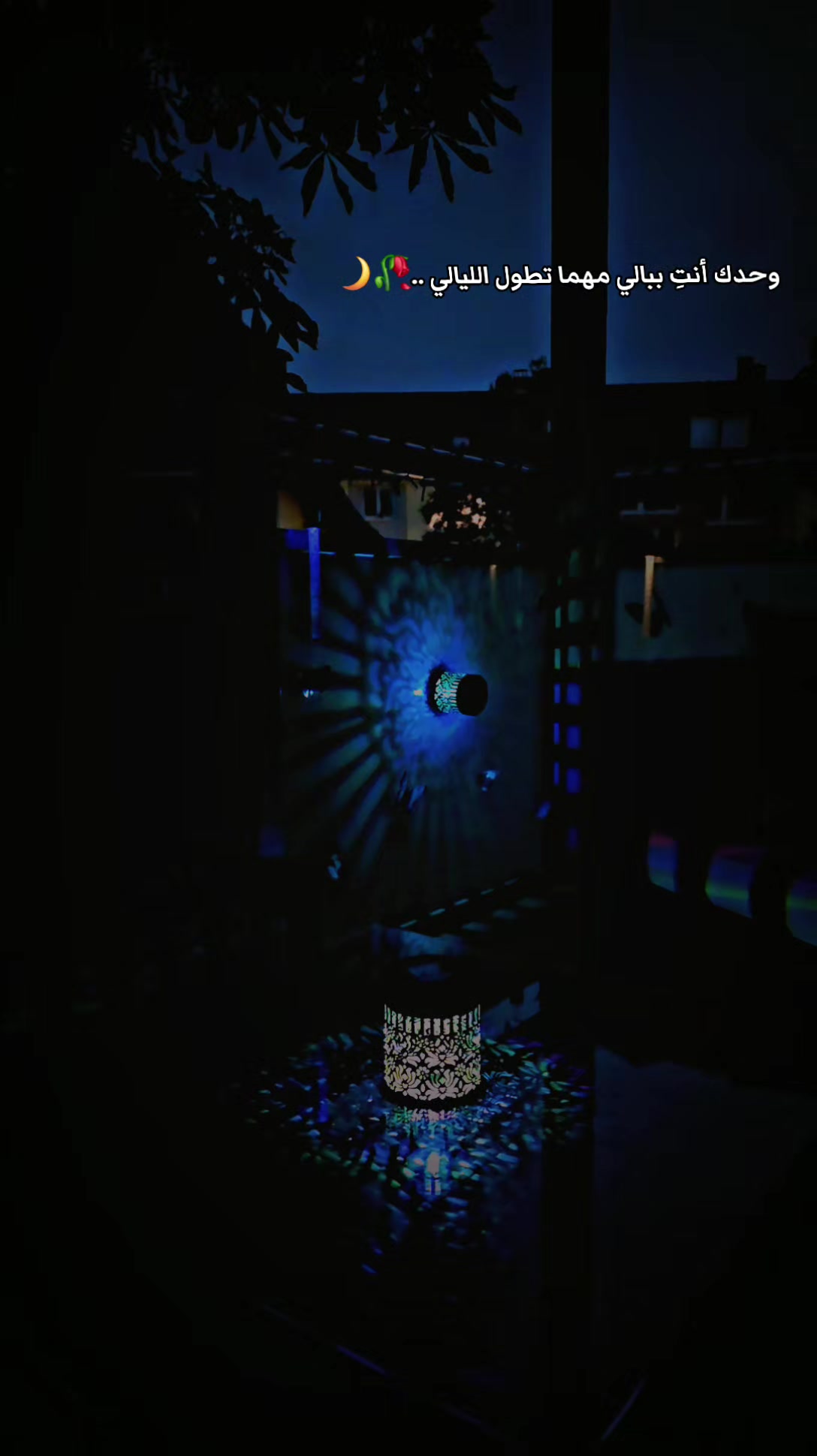 @🦋𝓗𝓪𝓫𝓸𝓼𝓱🦋