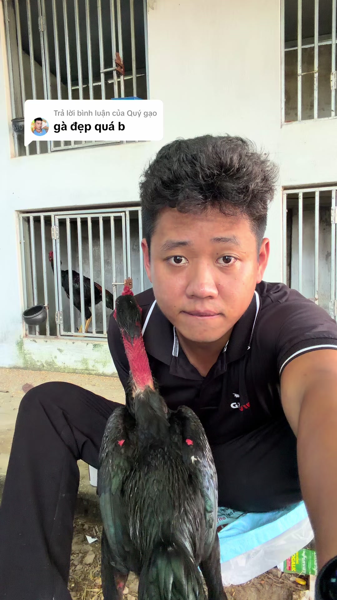 @Quyền Ba Vì
