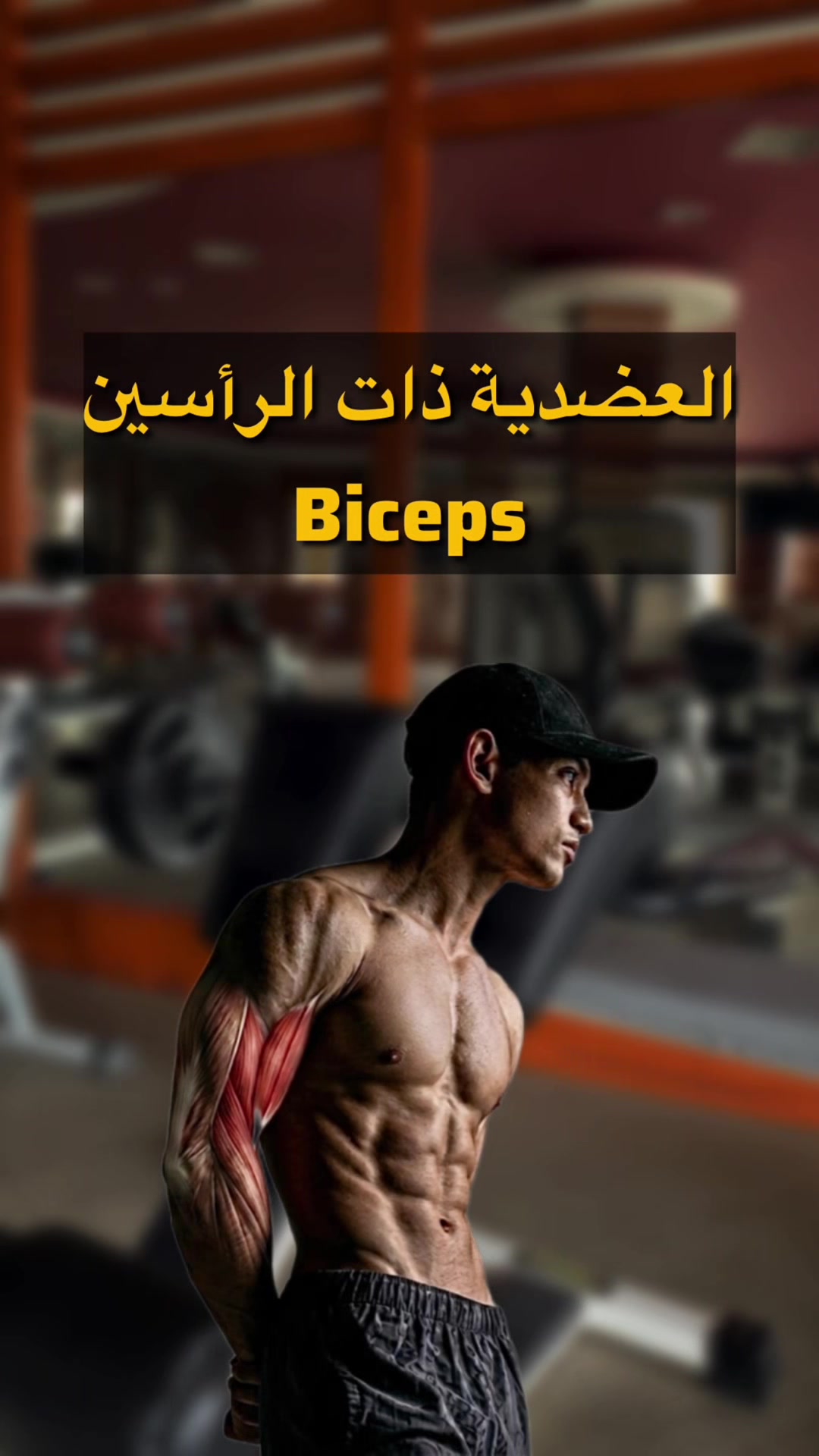 @YOUSSEF
