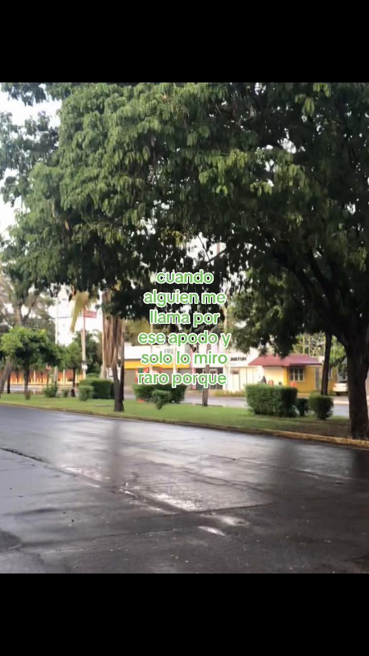 @⋮ ⌗ ┆ ꜱʜᴏᴋᴏ 🍏🫧
