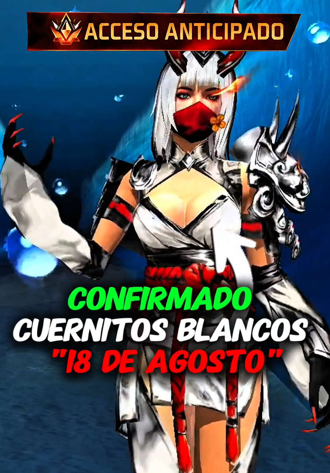 @Weni Spider Oficial 🦋