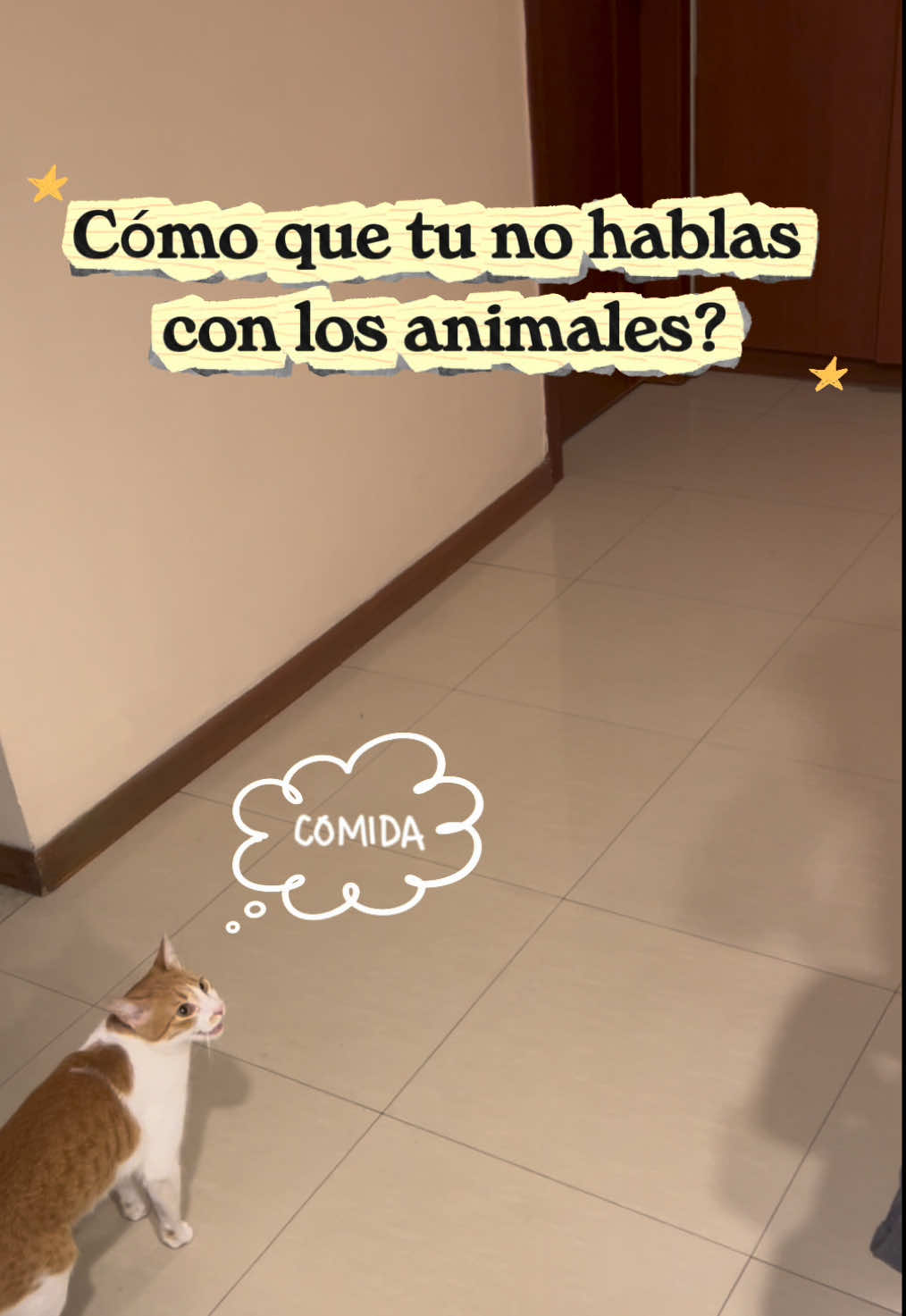 @Las Chubys