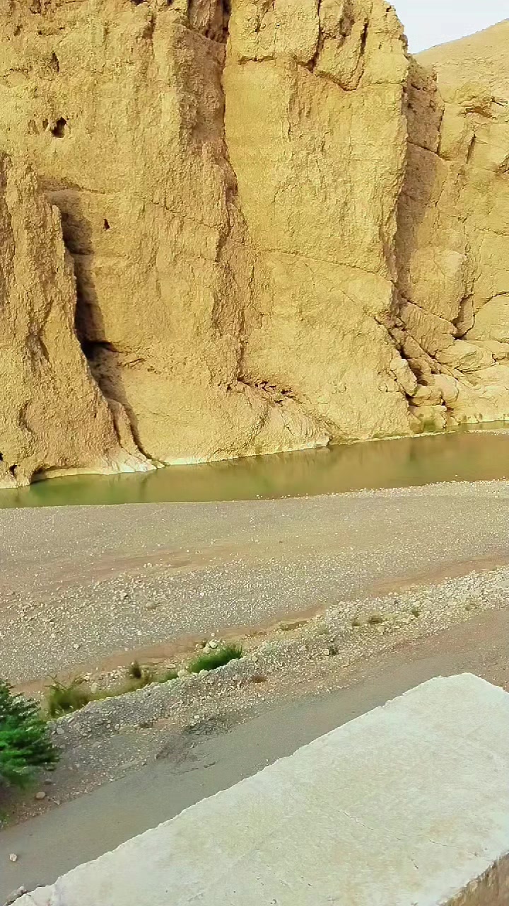 @Muhibkurd115