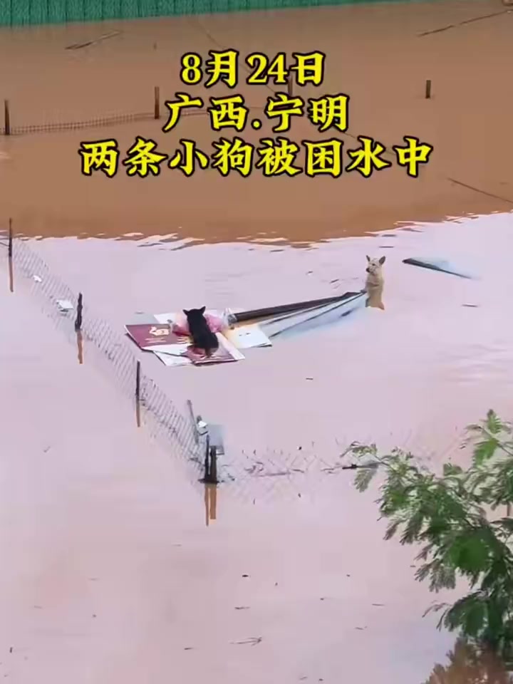 @晃晃悠悠