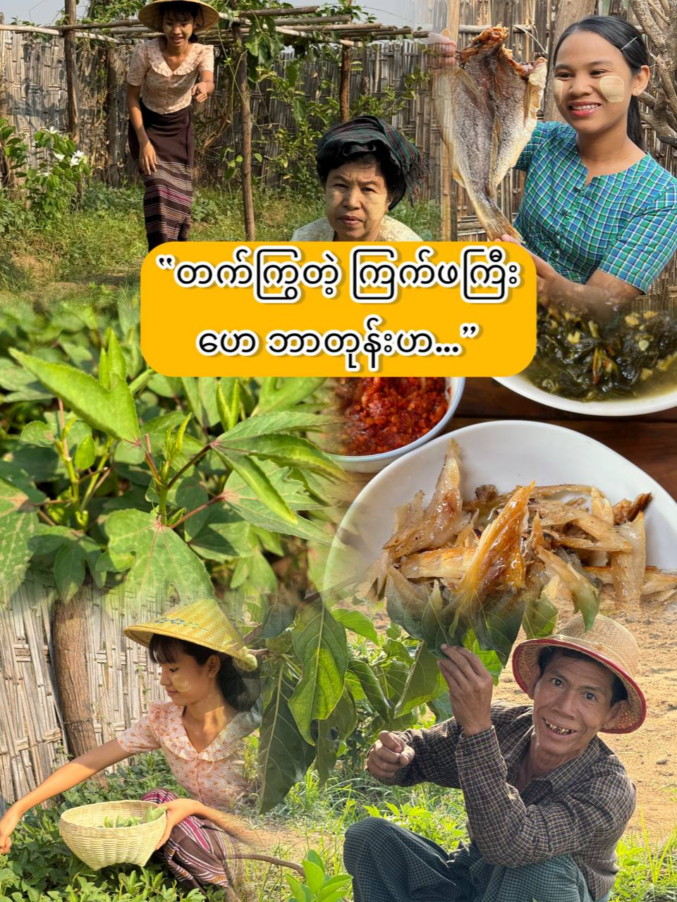 @Yar Taw Thu - ယာတောသူ