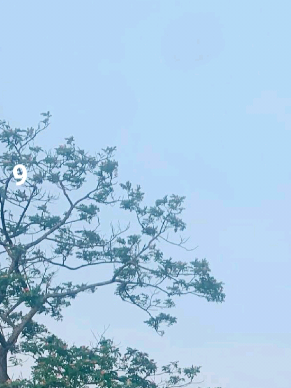@🇧🇩الابن الأصغر للعائلة✈️🇸🇦