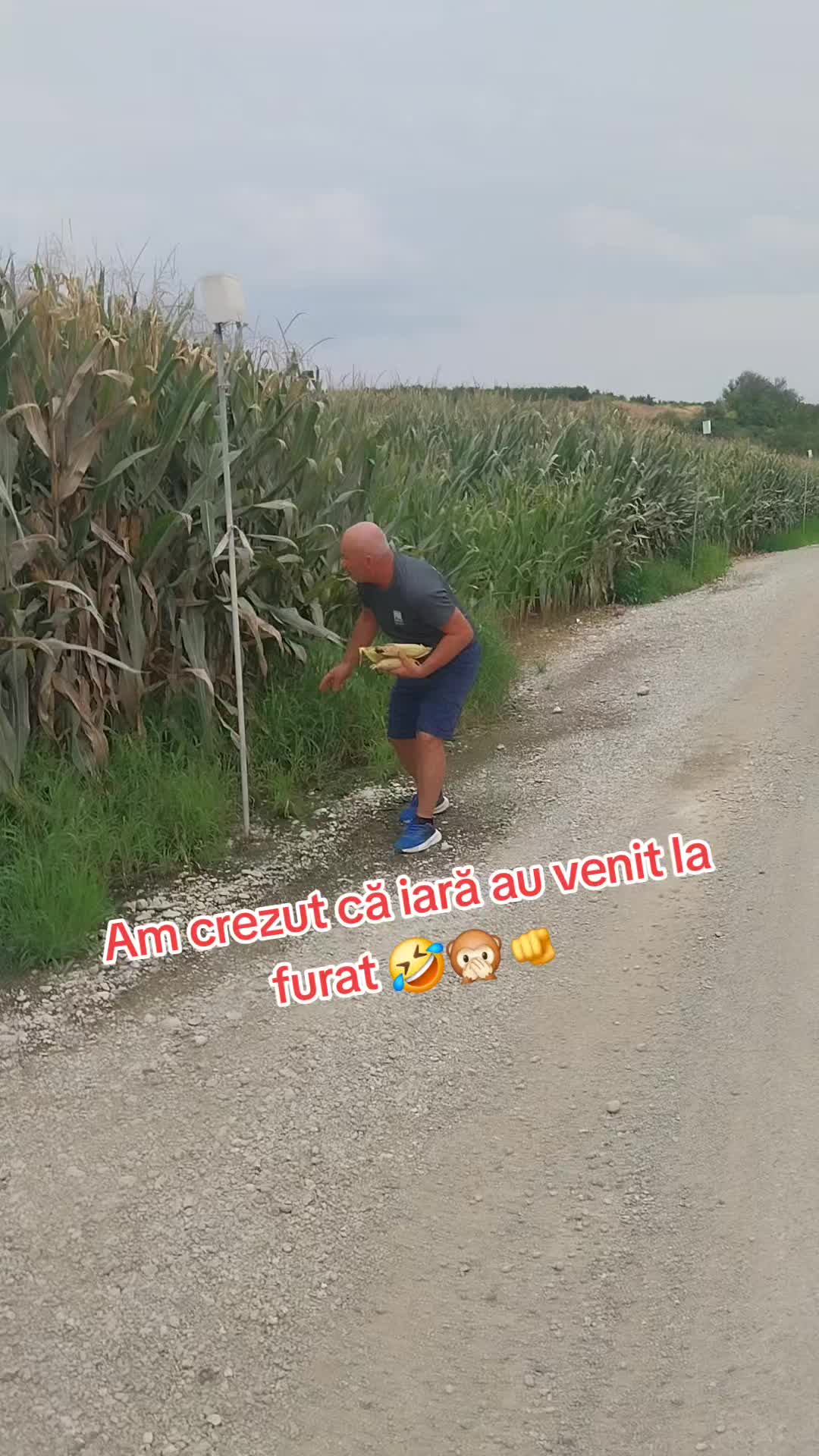 @Aurel Anghelus_22