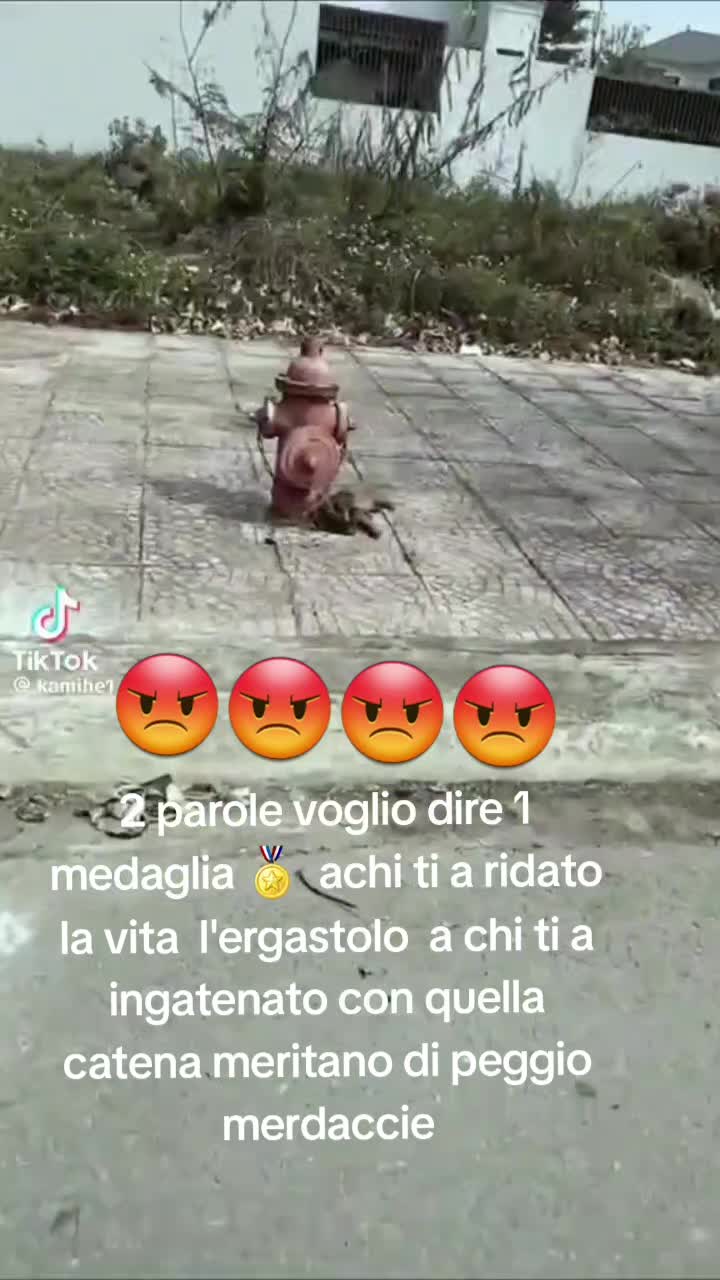 @concetta