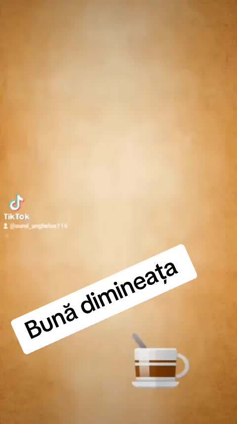 @Aurel Anghelus_22