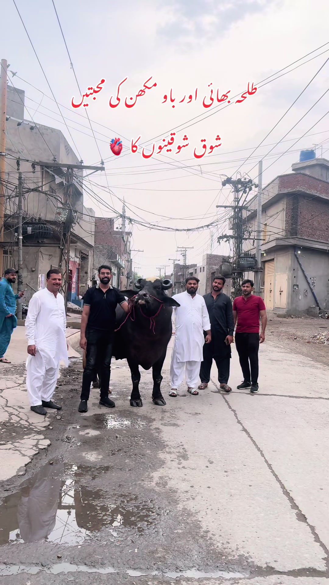 @UMAIR MUGHAL