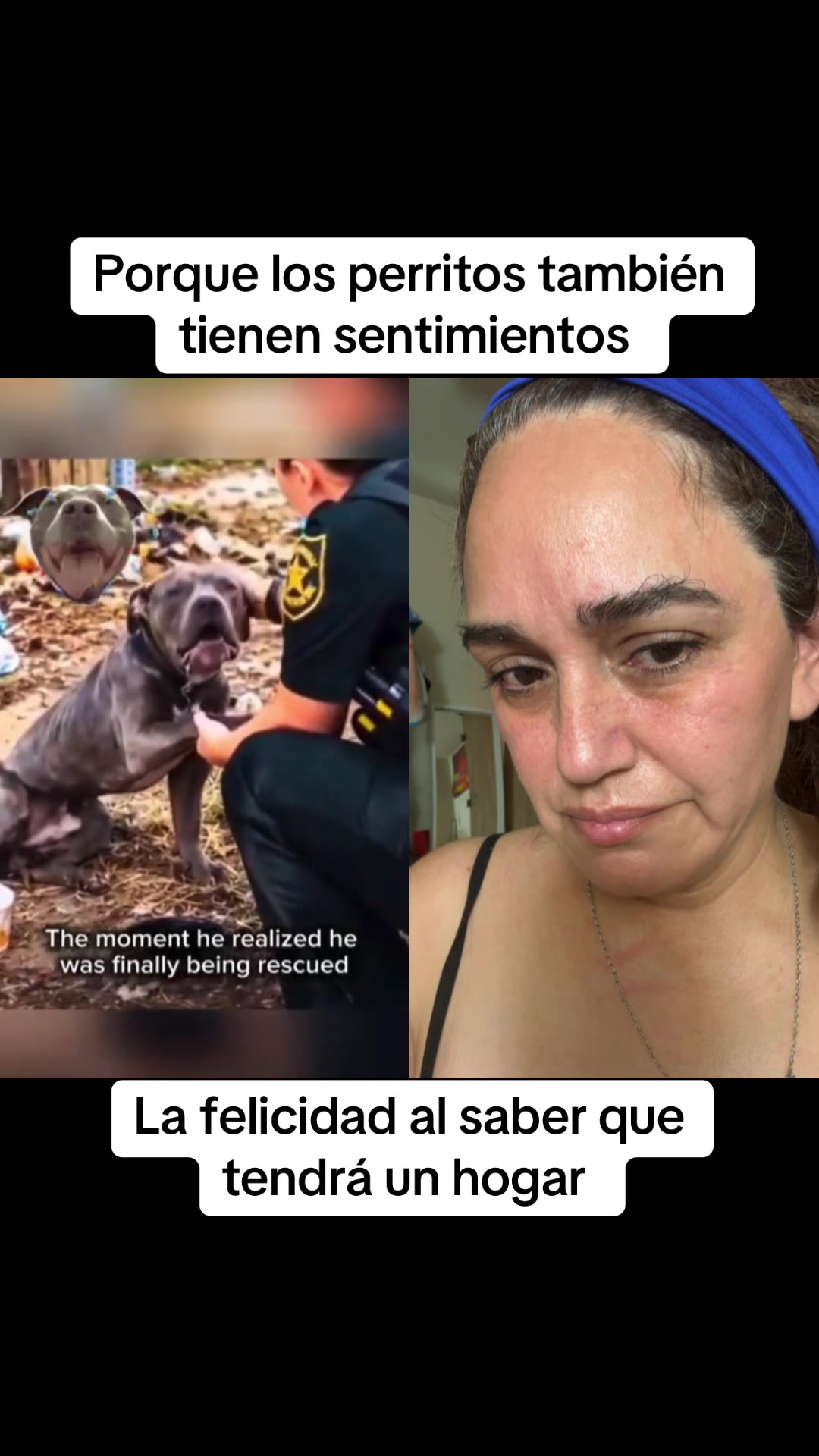 @MELITA HUMOR Y COMEDIA