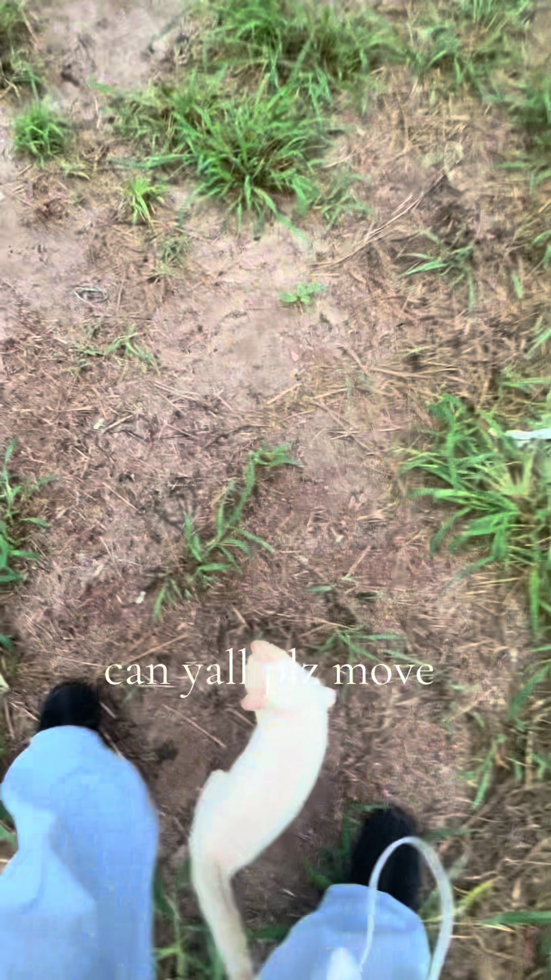 @nat