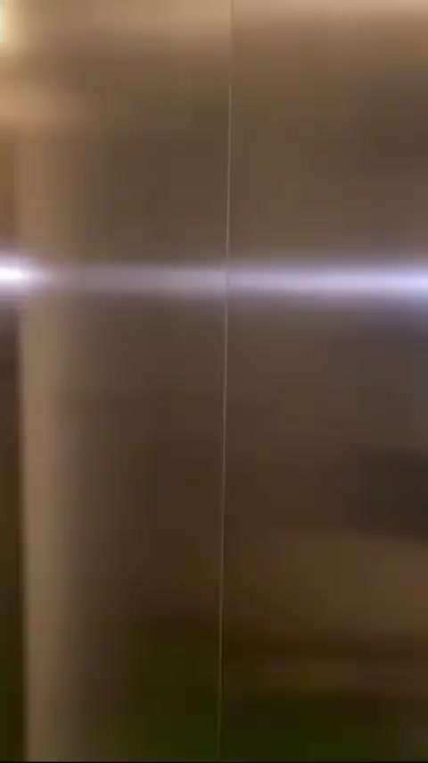 @dianaaksentijevic