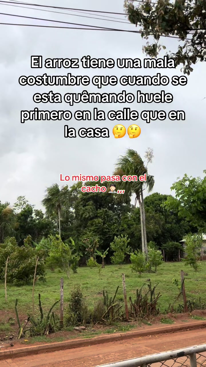 @luismamoreno