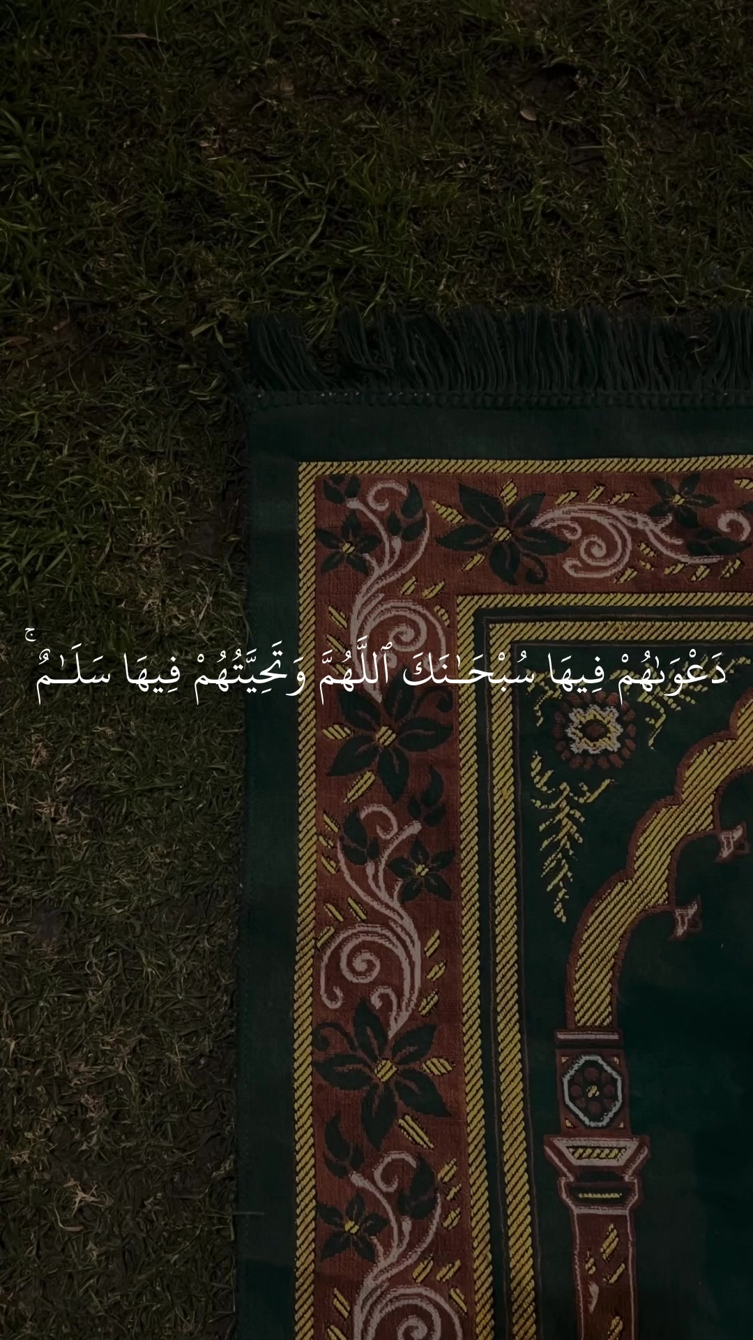 @Quan|قران كريم
