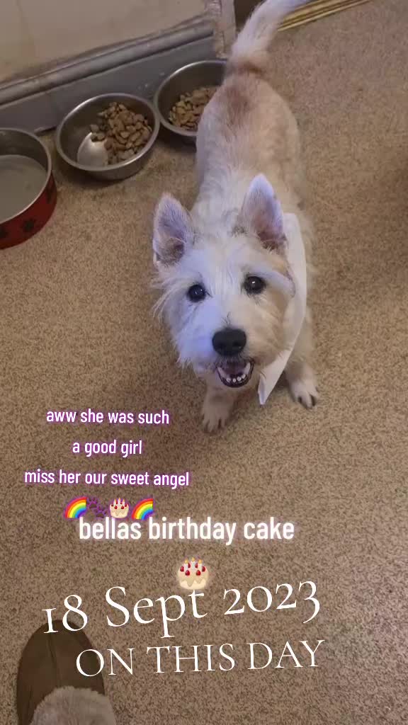 @claire🌈BellaBertErnie💙T&D