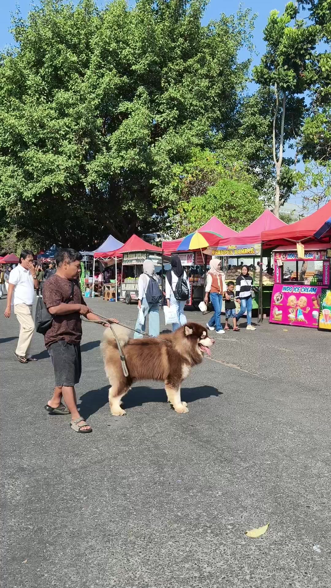 @BOPO SOLEH MAYANGKORO ORIGINAL
