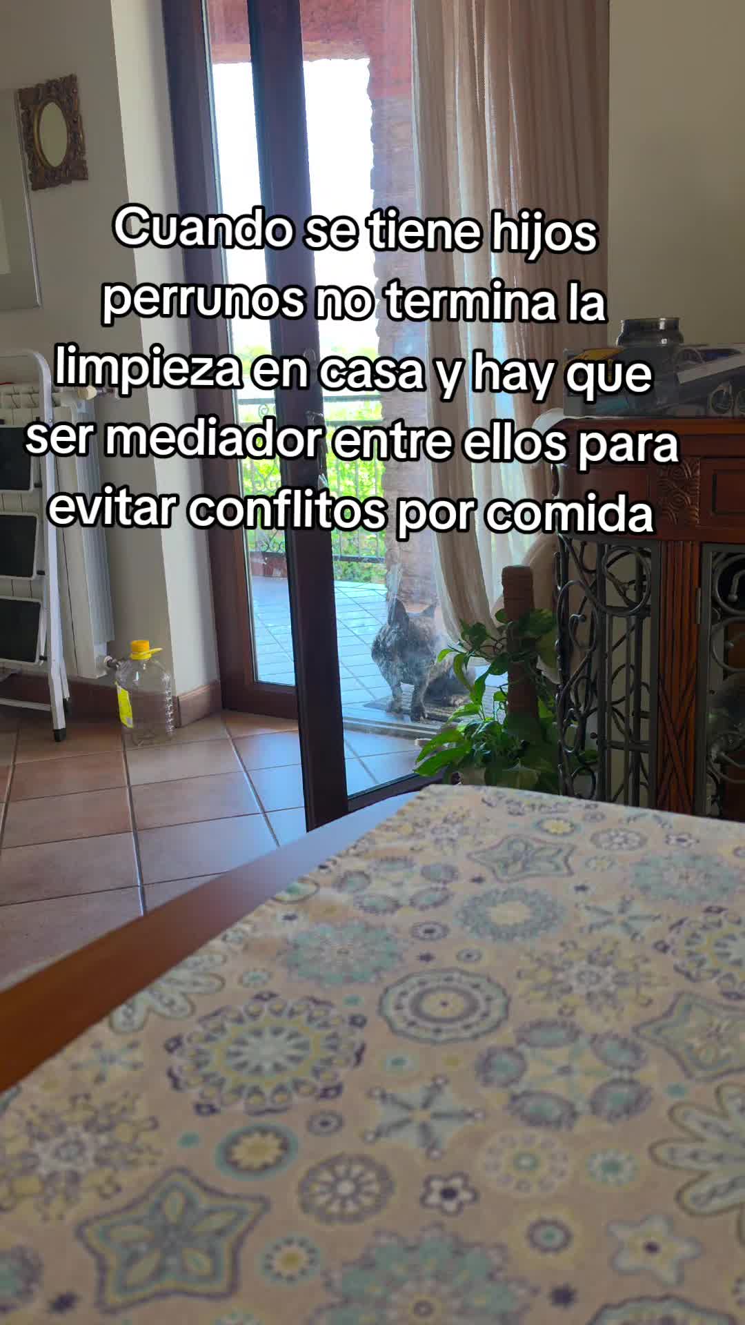 @martita