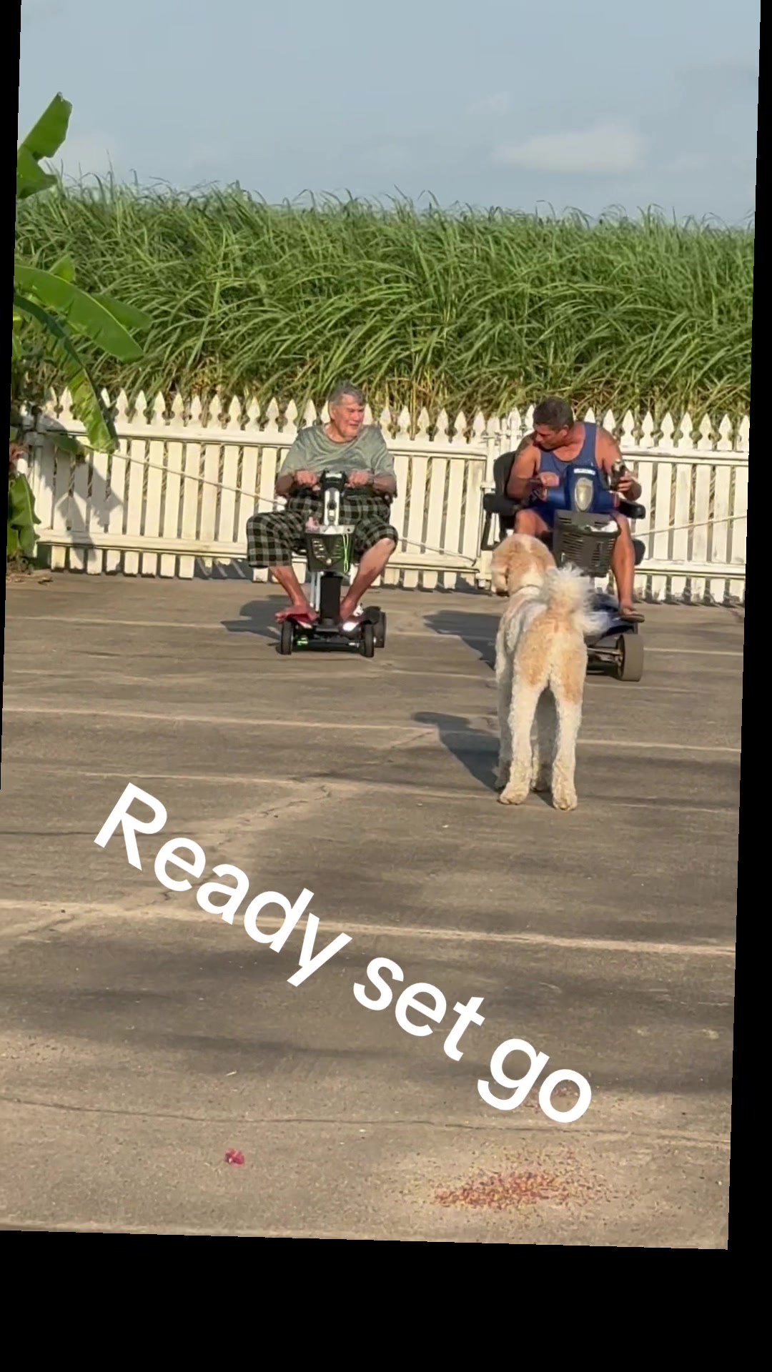@bigdoodleandlittledoodle