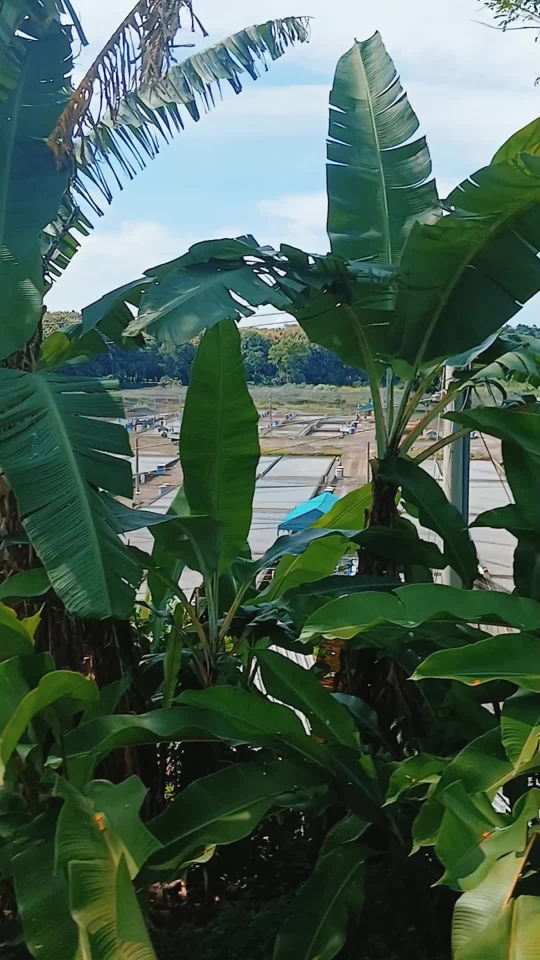 @Jeser Mérida
