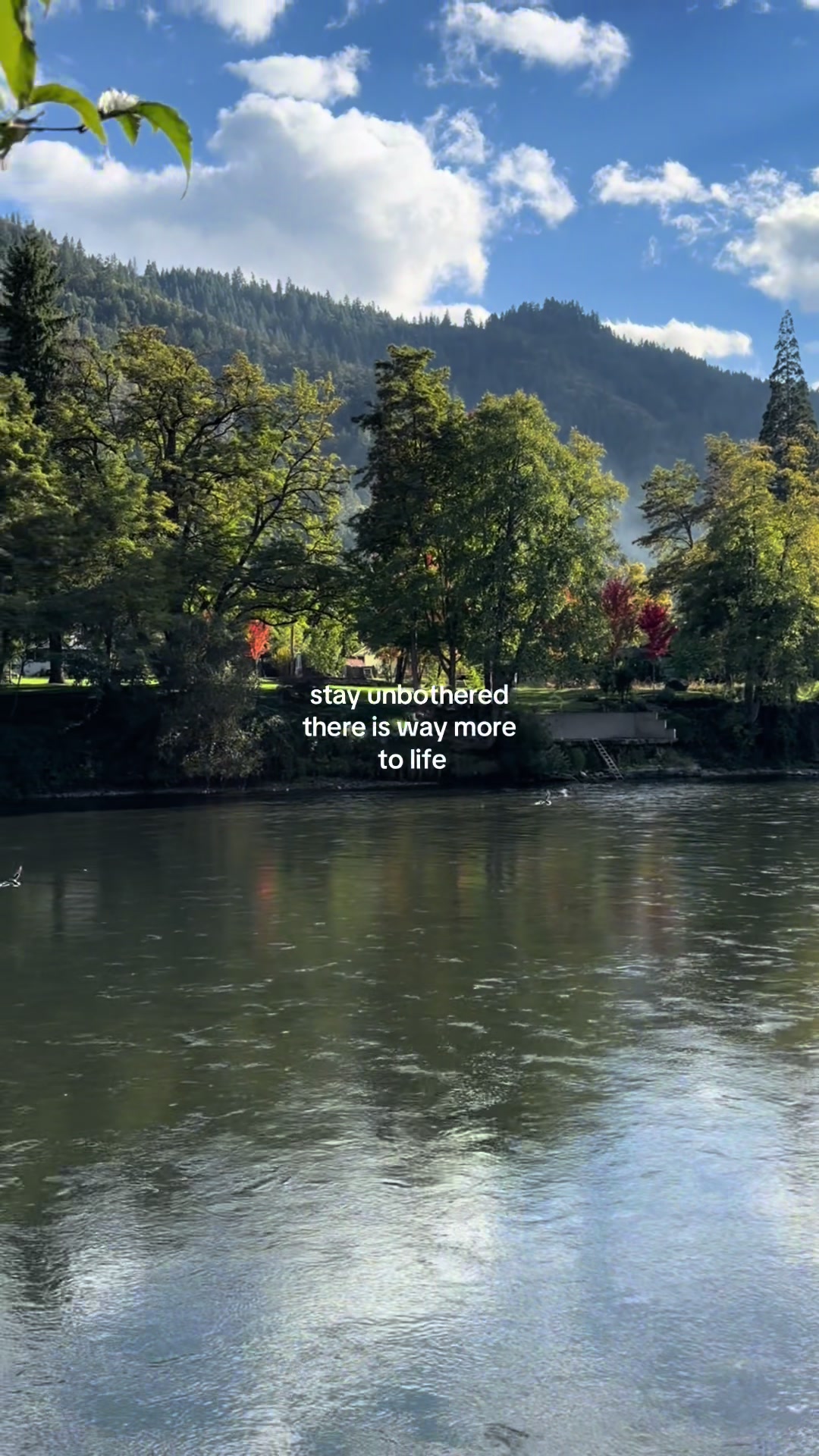 @Liamray