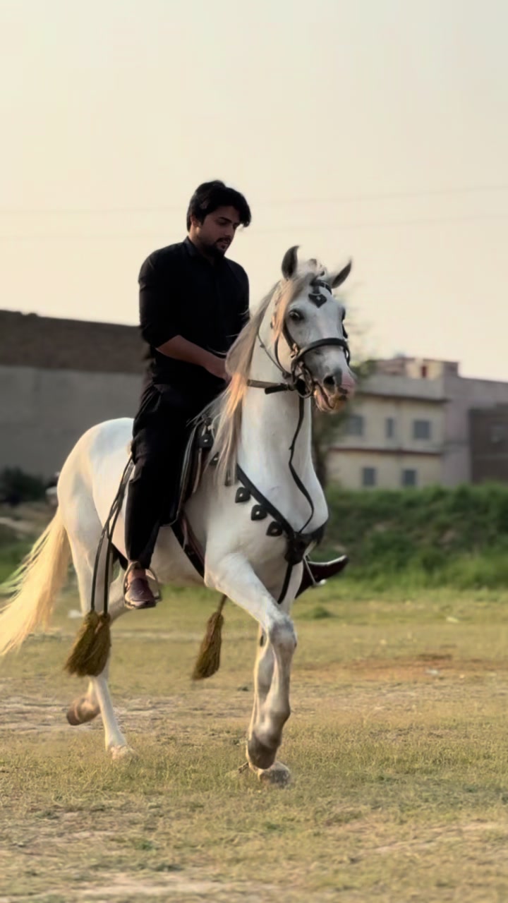 @HassanKazmi