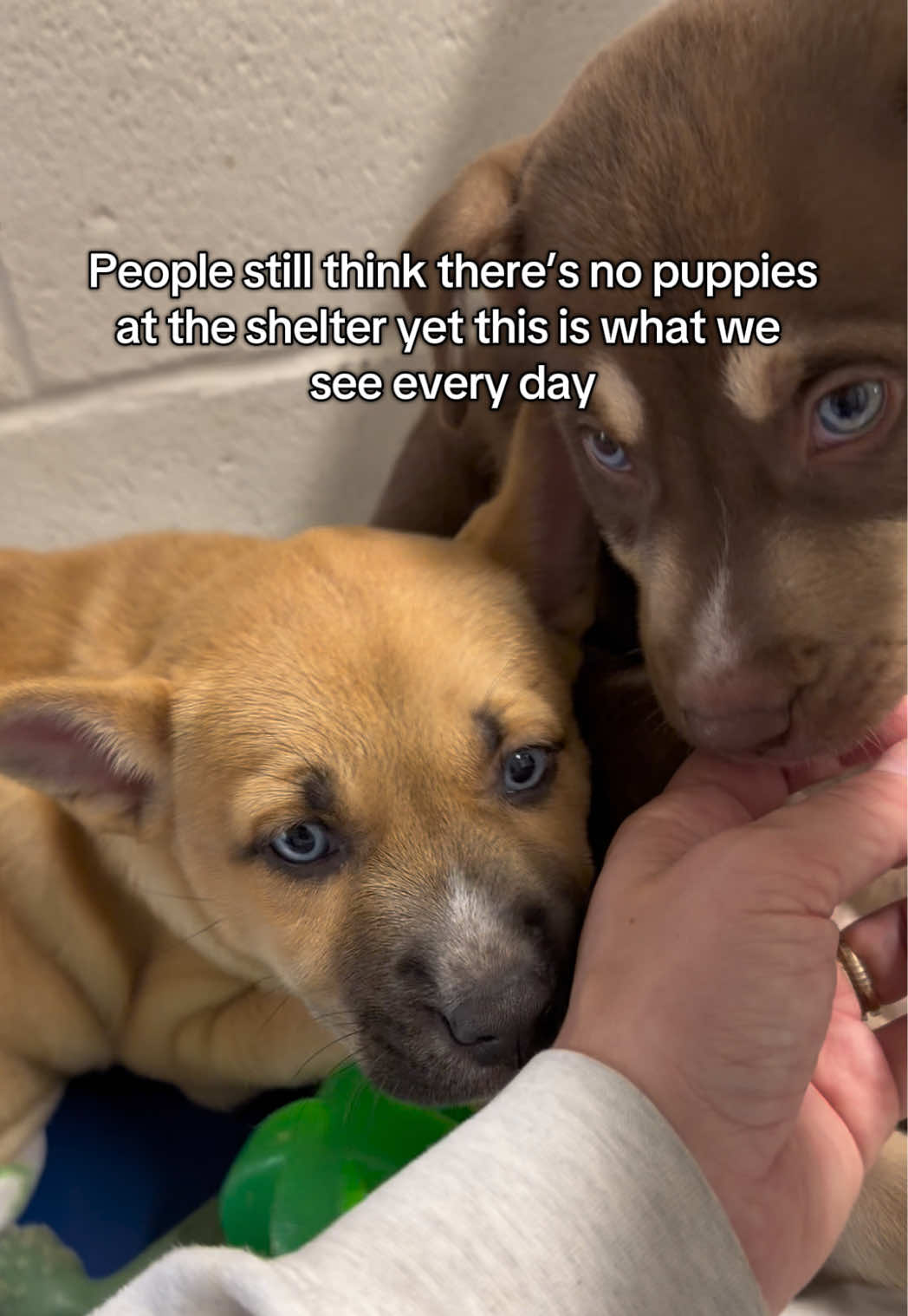 @Corridor Rescue Inc.