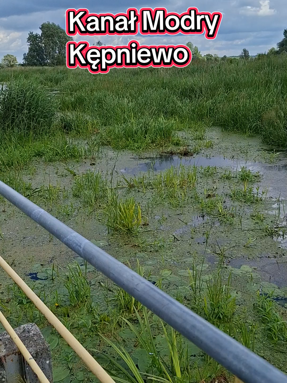 @Stalewiak