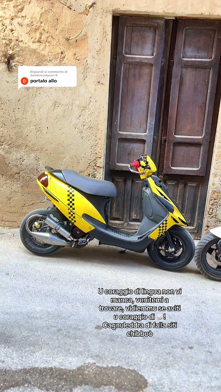 @CanePazzo1994 ( il ritorno )