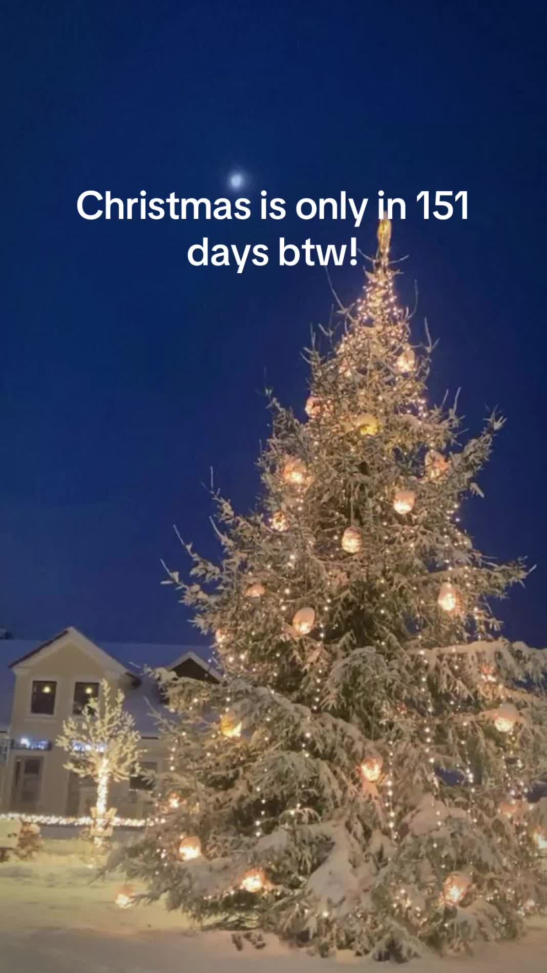 @christmas vibes!