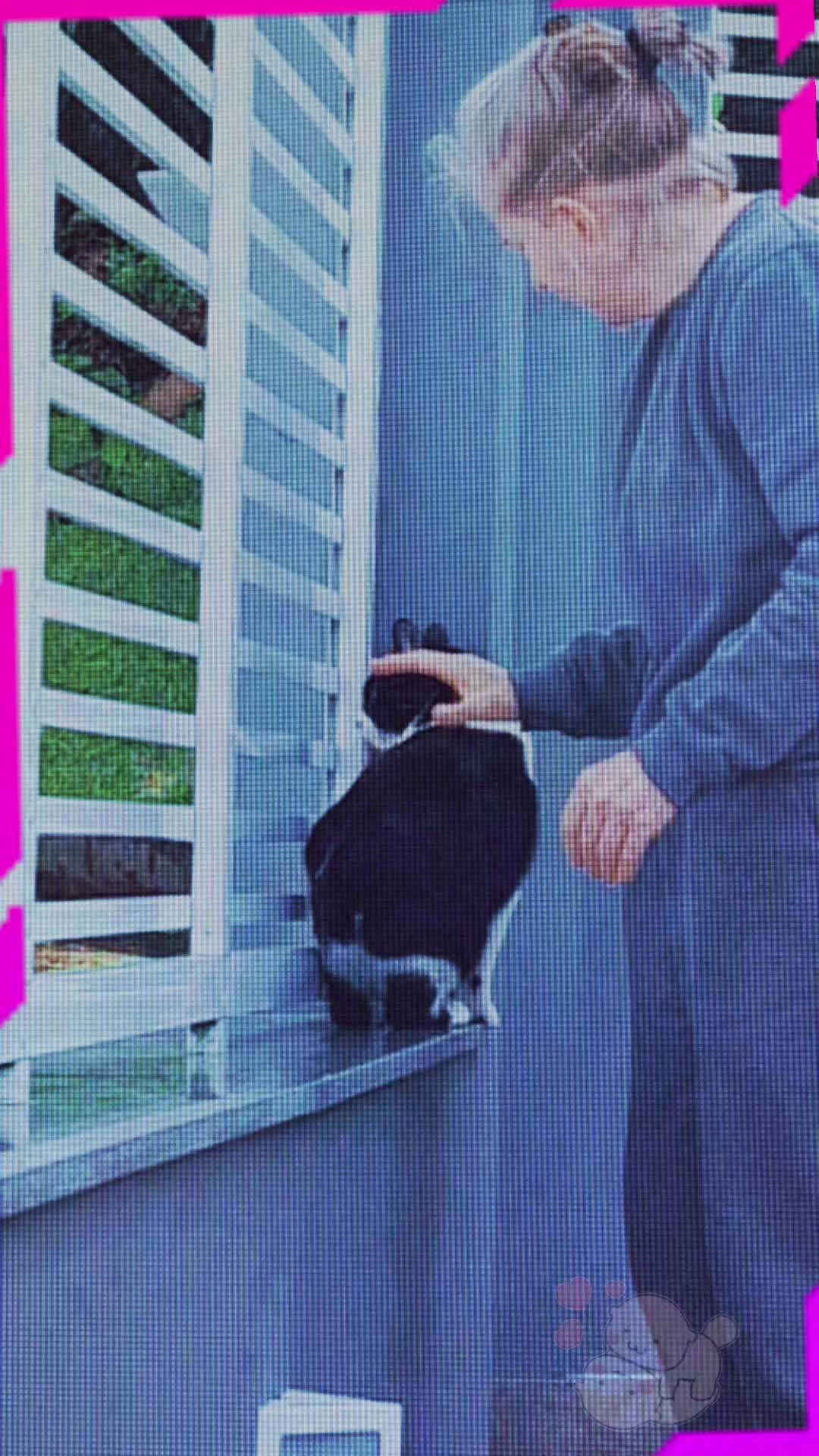 @gato.JIMMY.cat
