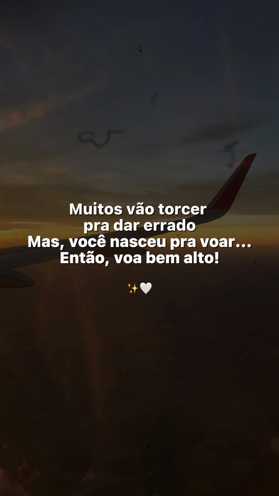 @Beatriz Santos